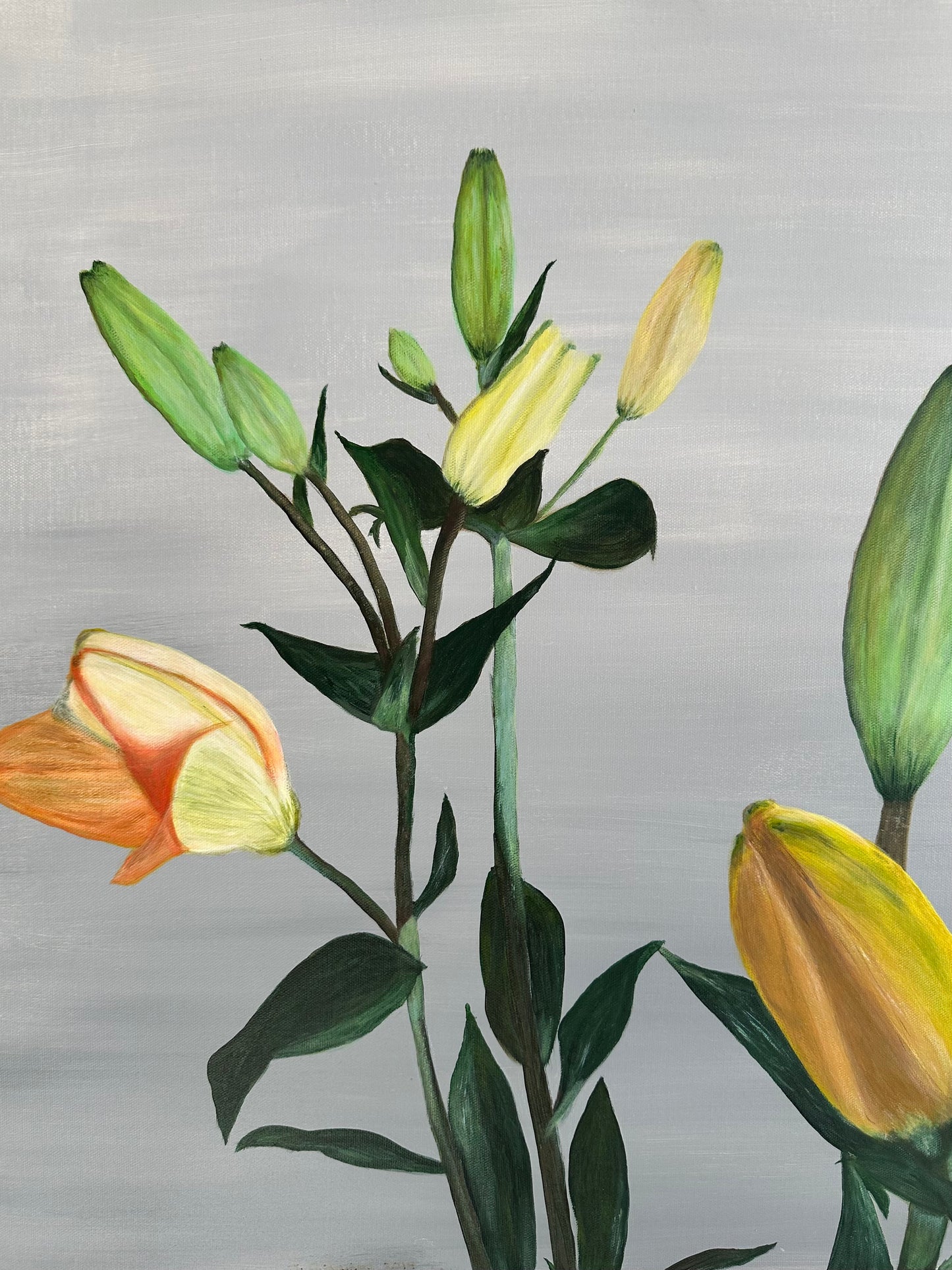 In Bloom