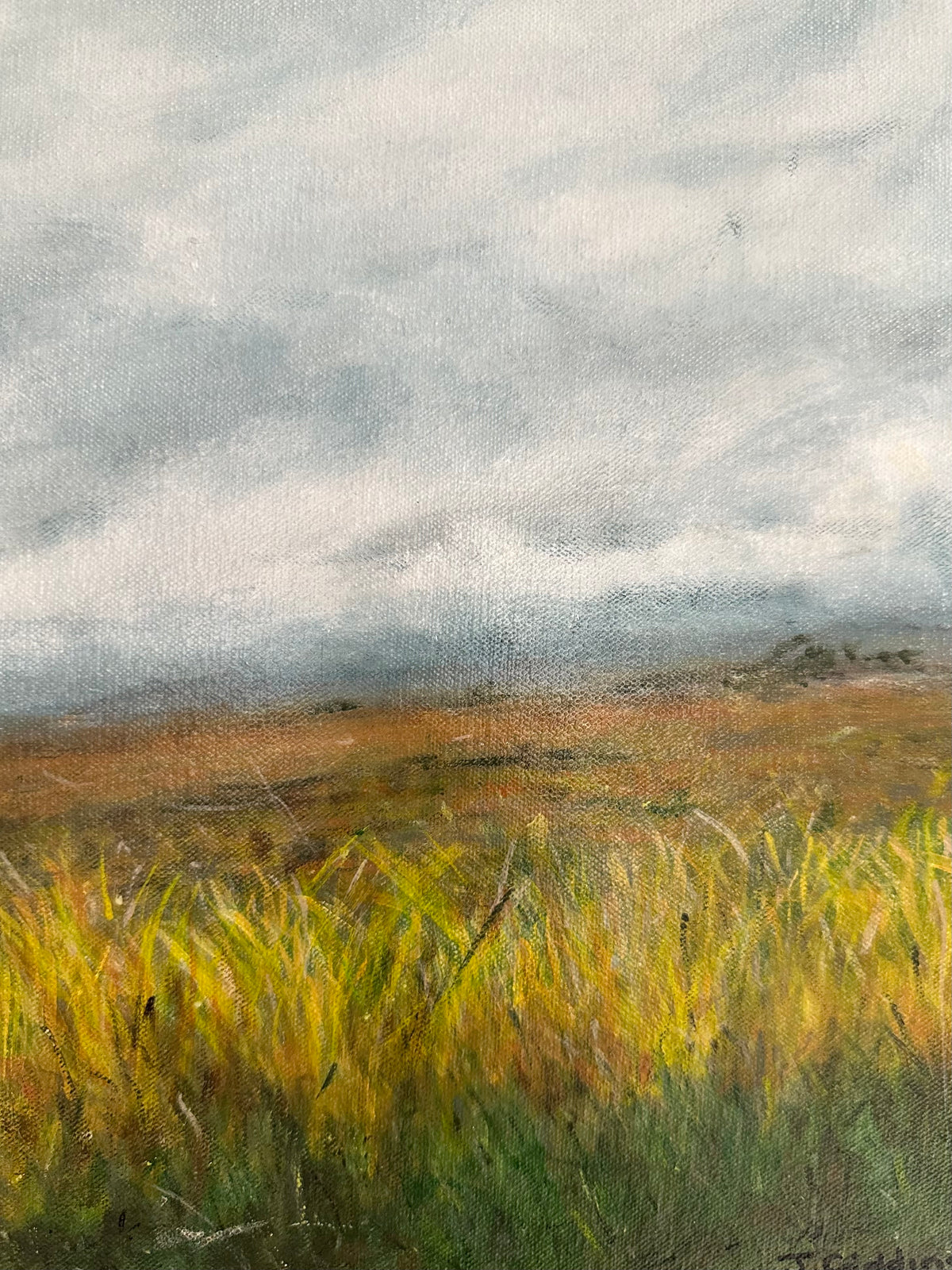 Cloudy afternoon