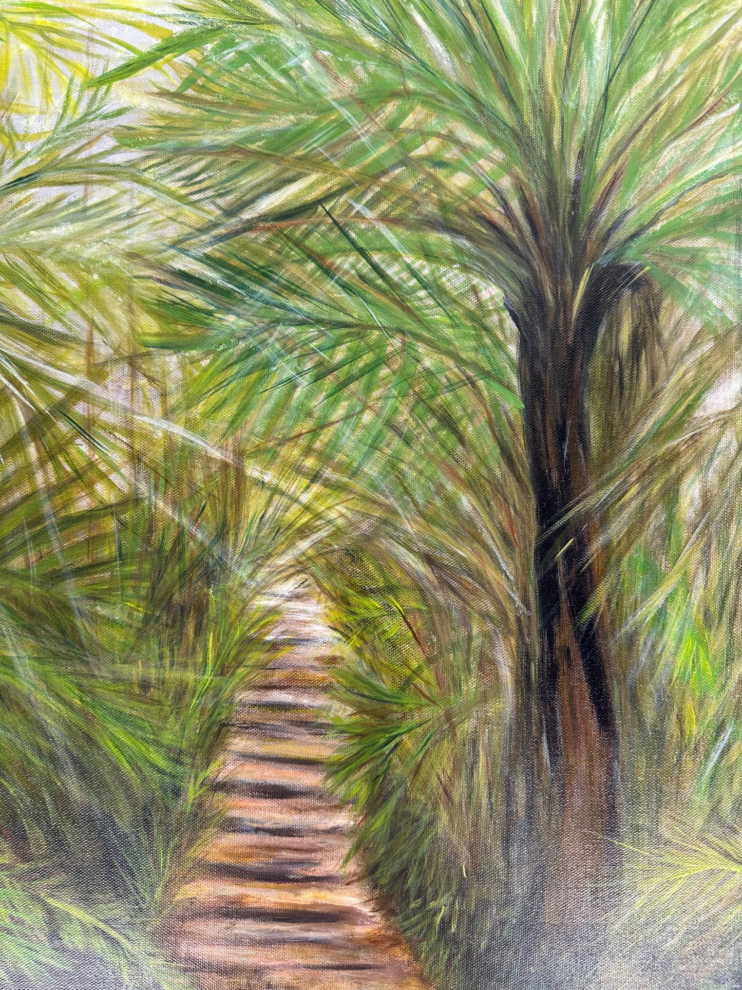 Otway Walk